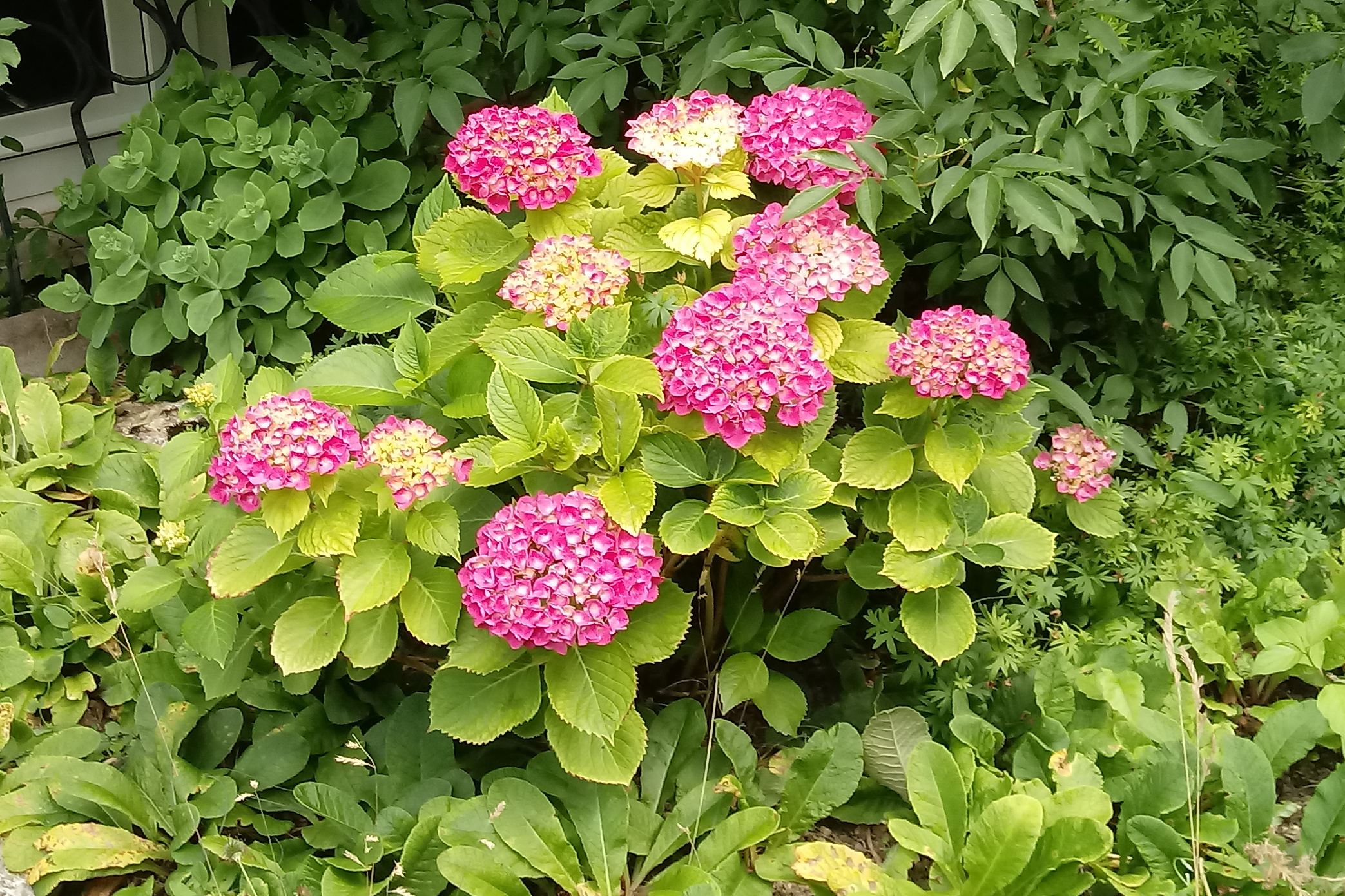 Unser Leben
