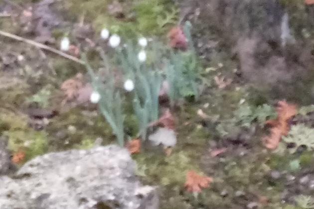 Start der Gartensaison