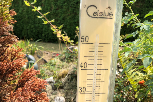 Heiße Temperaturen in den Hundstagen.